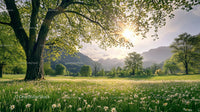 Sunlit Meadow with Blooming Daisies and Majestic Mountain View