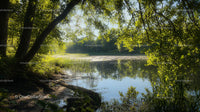 Tranquil Lake Surrounded by Verdant Trees on a Sunny Day