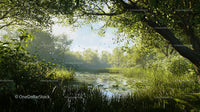 Tranquil Pond Surrounded by Lush Summer Foliage