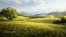 Lush Green Wheat Field with Rolling Hills and Lone Tree