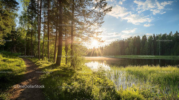 Sunrise Over a Serene Forest Lake