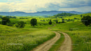 Scenic Country Road Through Lush Green Rolling Hills