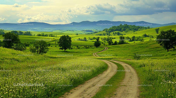 Scenic Country Road Through Lush Green Rolling Hills