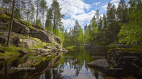 Tranquil Forest Pond with Towering Pine Trees and Rocky Cliffs
