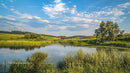 Serene Summer Landscape with Tranquil Pond and Blue Sky