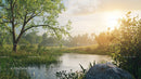 Tranquil River and Lush Greenery at Sunrise