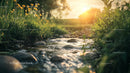 Tranquil Stream with Yellow Flowers at Sunset
