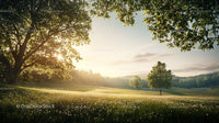 Sunrise Over a Tranquil Green Meadow with Lush Trees