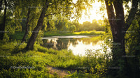 Serene Summer Lake with Lush Greenery and Birch Trees