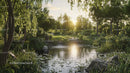 Tranquil Forest Pond at Sunset with Lush Greenery