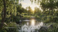 Tranquil Forest Pond at Sunset with Lush Greenery
