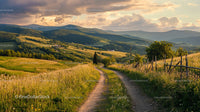 Scenic Countryside Path Winding Through Rolling Hills at Sunset