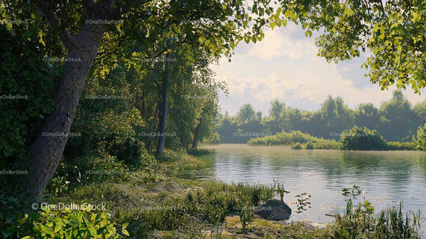 Spokojne Jezioro i Bujna Zieleń w Letnim Świetle
