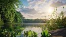 Serene Lakeside at Sunset with Lush Greenery