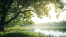 Sunlit Tree by Tranquil Riverside on a Summer Day