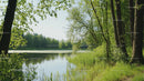 Serene Lake Surrounded by Lush Greenery and Vibrant Forest