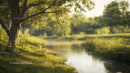 Serene Riverbank with Sunlit Lush Greenery and Trees