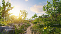 Sunlit Path Through Flowering Meadow Under Blue Sky
