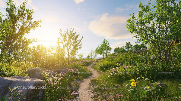 Sunlit Path Through Flowering Meadow Under Blue Sky