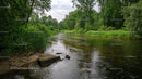 Tranquil River Flowing Through Lush Green Forest