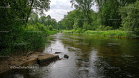 Tranquil River Flowing Through Lush Green Forest