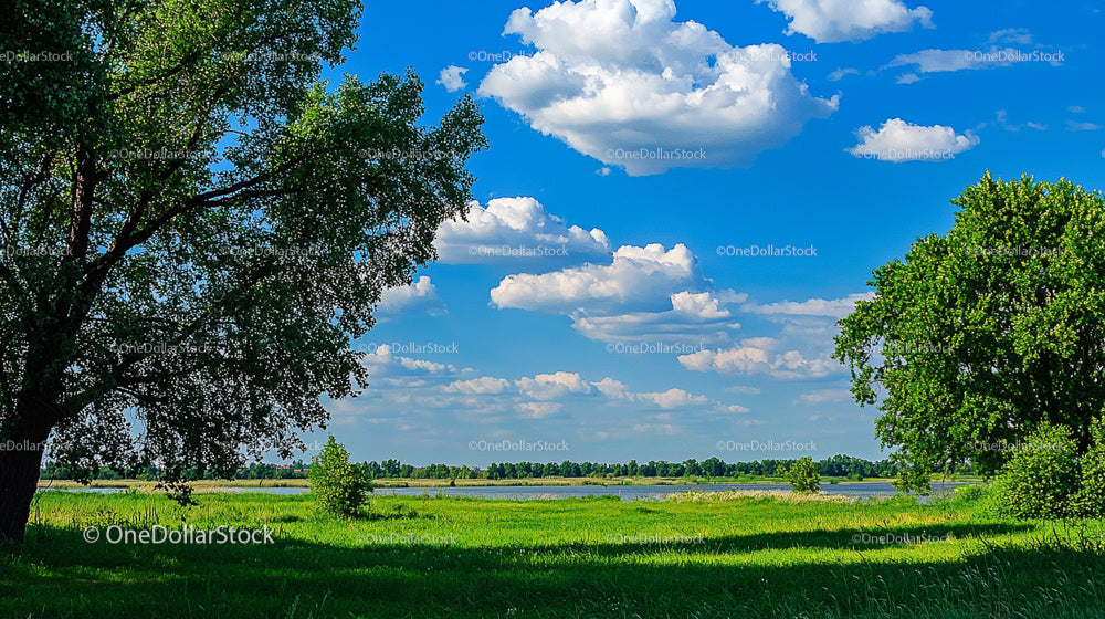 Sunny Summer Landscape with Blue Sky and Lush Greenery