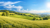 Breathtaking Summer Landscape with Rolling Green Hills