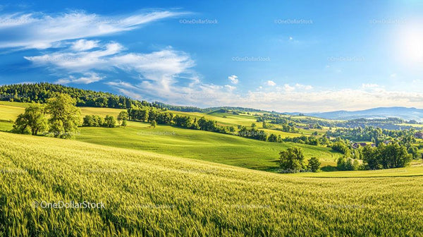Breathtaking Summer Landscape with Rolling Green Hills