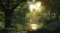 Sunlit Forest with Tranquil River and Lush Greenery