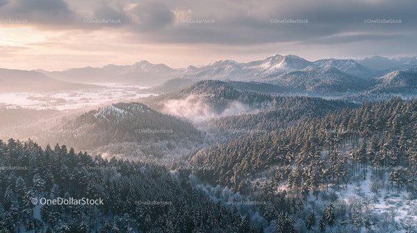 Snow-Covered Mountains and Misty Forest at Sunrise