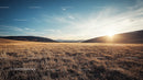 Breathtaking Countryside Sunset Over Golden Fields