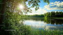 Tranquil Forest Lake with Sunlight Filtering Through Trees