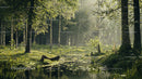 Sunlit Forest with Tranquil Pond and Lush Greenery