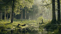 Sunlit Forest with Tranquil Pond and Lush Greenery