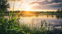 Tranquil Sunset Over a Serene Lake with Grassy Shoreline