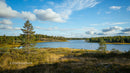 Serene Lake View with Pine Trees and Clear Blue Sky