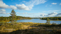Serene Lake View with Pine Trees and Clear Blue Sky