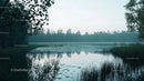 Tranquil Lake with Morning Mist and Lush Greenery