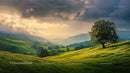 Solitary Tree on Sunlit Hills at Sunset