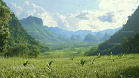 Lush Green Valley with Majestic Mountain Range Under Cloudy Sky