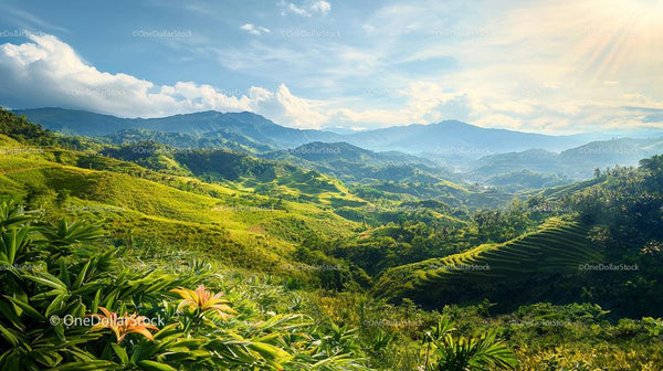 Lush Green Hills with Scenic Mountains and Terraced Fields