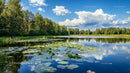 Serene Lake with Lily Pads and Reflective Blue Sky