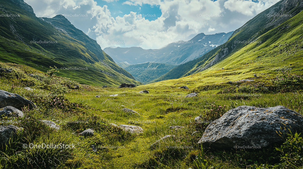 Breathtaking Mountain Valley with Lush Greenery and Rocky Terrain