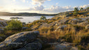 Rocky Coastal Landscape with Grassy Hills at Sunset