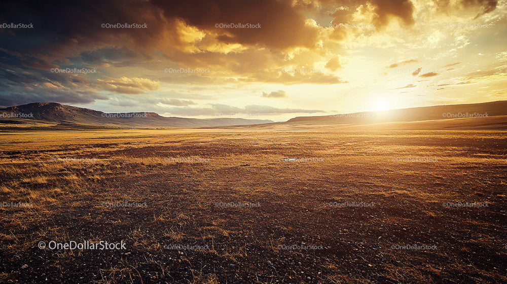 Golden Sunset Over Expansive Grassland Horizon