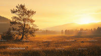 Golden Sunset Over a Serene Rural Landscape