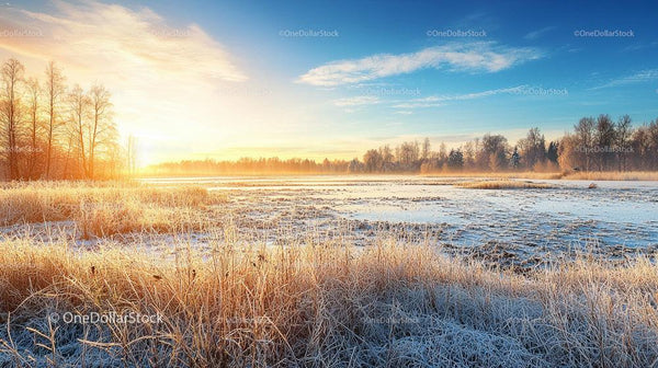 Frosty Winter Sunrise Over Tranquil Field and Trees