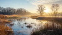 Serene Sunrise Over Misty Lake with Reeds and Bare Trees