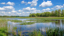 Tranquil Lake with Reeds and Blue Sky