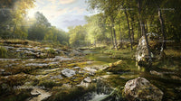 Tranquil Forest Stream With Lush Greenery in Summer Light